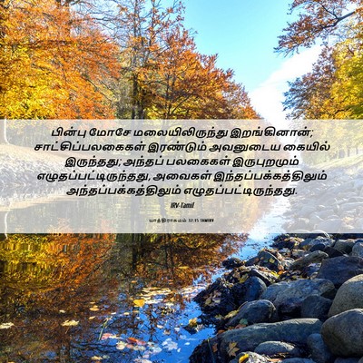 Picture 06 - யாத்திராகமம் 32:15 TAMIRV - பின்பு மோசே - Bible Verse Picture