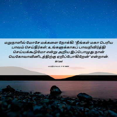 Picture 06 - யாத்திராகமம் 32:30 TAMIRV - மறுநாளில் மோசே - Bible Verse Picture