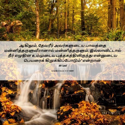 Picture 06 - யாத்திராகமம் 32:32 TAMIRV - ஆகிலும், தேவரீர் - Bible Verse Picture