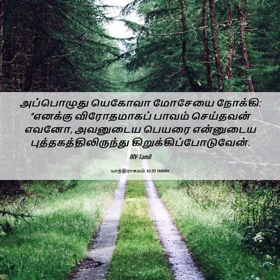 Picture 06 - யாத்திராகமம் 32:33 TAMIRV - அப்பொழுது யெகோவா - Bible Verse Picture