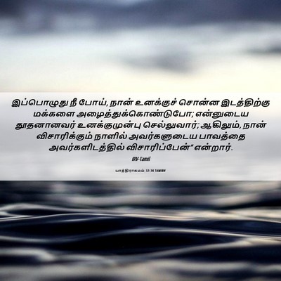Picture 06 - யாத்திராகமம் 32:34 TAMIRV - இப்பொழுது நீ போய், - Bible Verse Picture