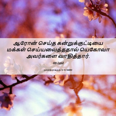 Picture 06 - யாத்திராகமம் 32:35 TAMIRV - ஆரோன் செய்த - Bible Verse Picture