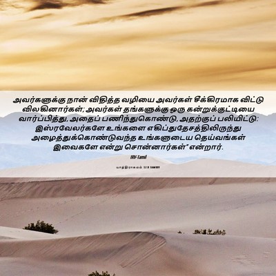Picture 06 - யாத்திராகமம் 32:8 TAMIRV - அவர்களுக்கு நான் - Bible Verse Picture