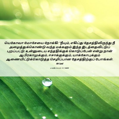 Picture 06 - யாத்திராகமம் 33:1 TAMIRV - யெகோவா மோசேயை - Bible Verse Picture