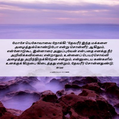 Picture 06 - யாத்திராகமம் 33:12 TAMIRV - மோசே யெகோவாவை - Bible Verse Picture