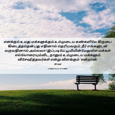 Picture 06 - யாத்திராகமம் 33:16 TAMIRV - எனக்கும் உமது - Bible Verse Picture