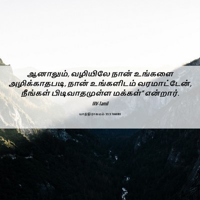 Picture 06 - யாத்திராகமம் 33:3 TAMIRV - ஆனாலும், வழியிலே - Bible Verse Picture