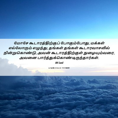 Picture 06 - யாத்திராகமம் 33:8 TAMIRV - மோசே - Bible Verse Picture