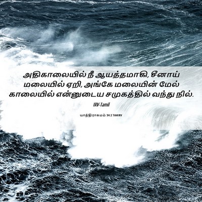 Picture 06 - யாத்திராகமம் 34:2 TAMIRV - அதிகாலையில் நீ - Bible Verse Picture