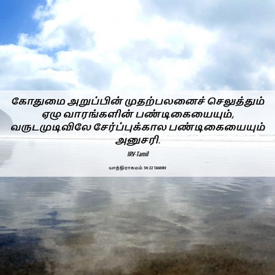 Picture 06 - யாத்திராகமம் 34:22 TAMIRV - கோதுமை அறுப்பின் - Bible Verse Picture