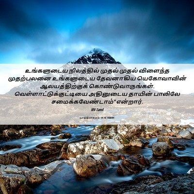 Picture 06 - யாத்திராகமம் 34:26 TAMIRV - உங்களுடைய - Bible Verse Picture
