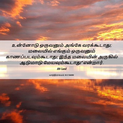 Picture 06 - யாத்திராகமம் 34:3 TAMIRV - உன்னோடு ஒருவனும் - Bible Verse Picture