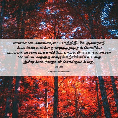 Picture 06 - யாத்திராகமம் 34:34 TAMIRV - மோசே யெகோவாவுடைய - Bible Verse Picture