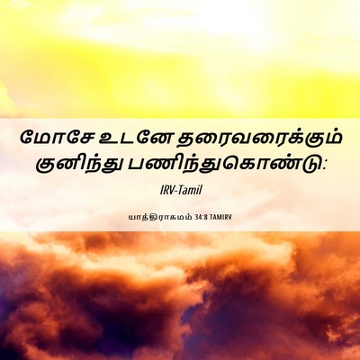 Picture 06 - யாத்திராகமம் 34:8 TAMIRV - மோசே உடனே - Bible Verse Picture