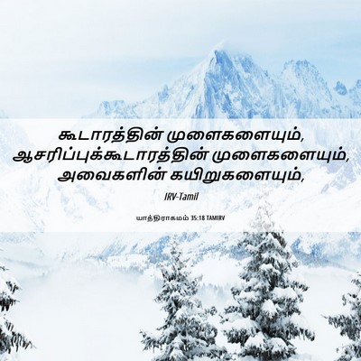 Picture 06 - யாத்திராகமம் 35:18 TAMIRV - கூடாரத்தின் - Bible Verse Picture