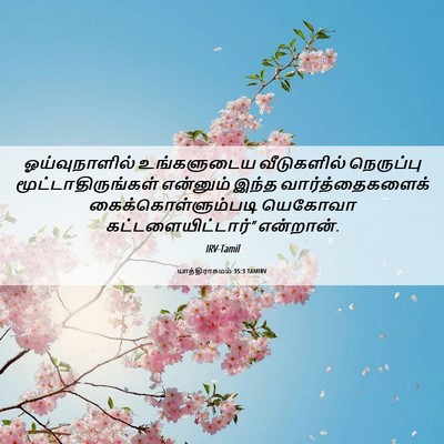 Picture 06 - யாத்திராகமம் 35:3 TAMIRV - ஓய்வுநாளில் - Bible Verse Picture