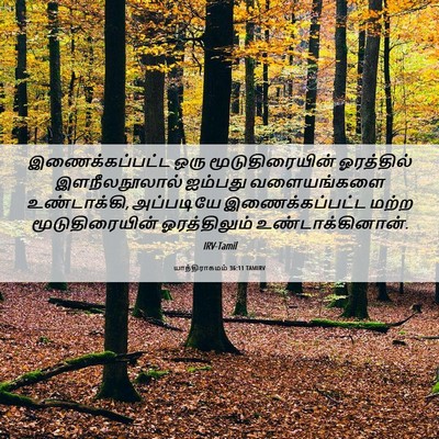 Picture 06 - யாத்திராகமம் 36:11 TAMIRV - இணைக்கப்பட்ட ஒரு - Bible Verse Picture