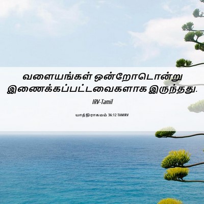 Picture 06 - யாத்திராகமம் 36:12 TAMIRV - வளையங்கள் - Bible Verse Picture