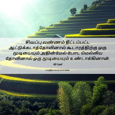 Picture 06 - யாத்திராகமம் 36:19 TAMIRV - சிவப்பு வண்ணம் - Bible Verse Picture