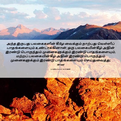 Picture 06 - யாத்திராகமம் 36:24 TAMIRV - அந்த இருபது - Bible Verse Picture