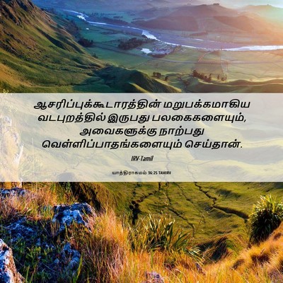 Picture 06 - யாத்திராகமம் 36:25 TAMIRV -  - Bible Verse Picture