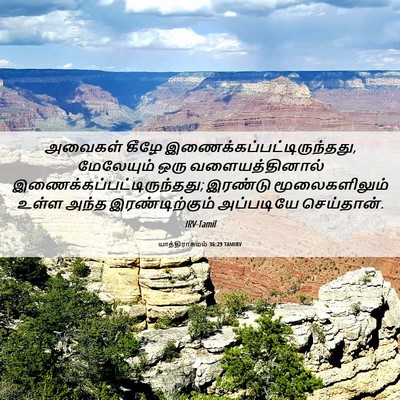 Picture 06 - யாத்திராகமம் 36:29 TAMIRV - அவைகள் கீழே - Bible Verse Picture