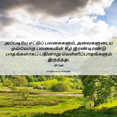Picture 06 - யாத்திராகமம் 36:30 TAMIRV - அப்படியே எட்டுப் - Bible Verse Picture