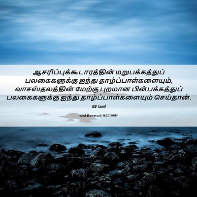 Picture 06 - யாத்திராகமம் 36:32 TAMIRV -  - Bible Verse Picture