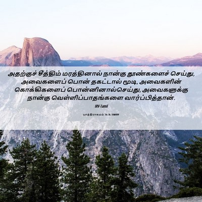 Picture 06 - யாத்திராகமம் 36:36 TAMIRV - அதற்குச் சீத்திம் - Bible Verse Picture