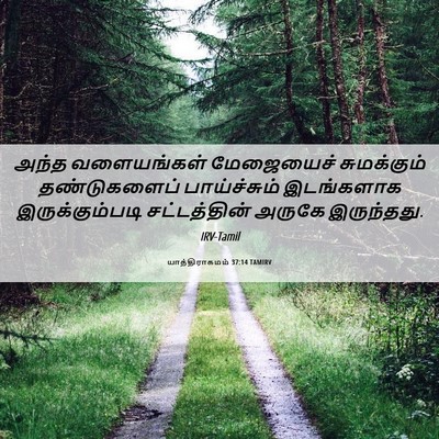 Picture 06 - யாத்திராகமம் 37:14 TAMIRV - அந்த வளையங்கள் - Bible Verse Picture
