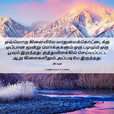 Picture 06 - யாத்திராகமம் 37:19 TAMIRV - ஒவ்வொரு கிளையிலே - Bible Verse Picture