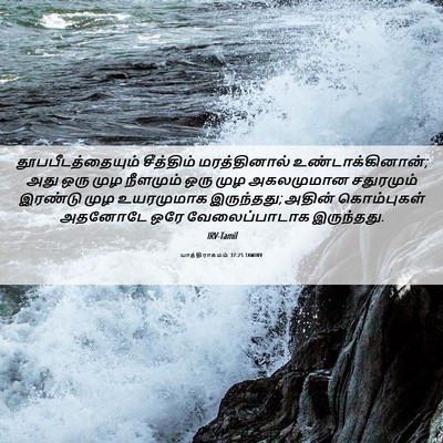 Picture 06 - யாத்திராகமம் 37:25 TAMIRV - தூபபீடத்தையும் - Bible Verse Picture