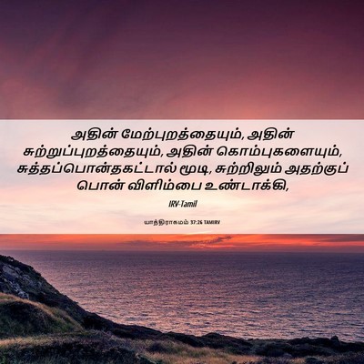 Picture 06 - யாத்திராகமம் 37:26 TAMIRV - அதின் - Bible Verse Picture