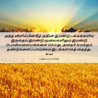 Picture 06 - யாத்திராகமம் 37:27 TAMIRV - அந்த - Bible Verse Picture