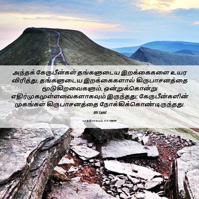 Picture 06 - யாத்திராகமம் 37:9 TAMIRV - அந்தக் - Bible Verse Picture