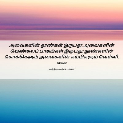 Picture 06 - யாத்திராகமம் 38:10 TAMIRV - அவைகளின் தூண்கள் - Bible Verse Picture