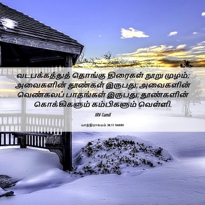 Picture 06 - யாத்திராகமம் 38:11 TAMIRV - வடபக்கத்துத் - Bible Verse Picture