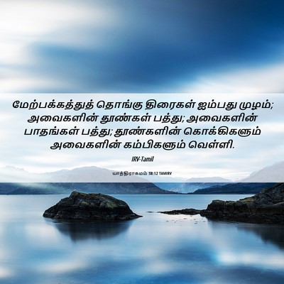 Picture 06 - யாத்திராகமம் 38:12 TAMIRV - மேற்பக்கத்துத் - Bible Verse Picture