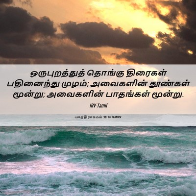 Picture 06 - யாத்திராகமம் 38:14 TAMIRV - ஒருபுறத்துத் - Bible Verse Picture