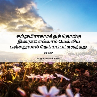 Picture 06 - யாத்திராகமம் 38:16 TAMIRV -  - Bible Verse Picture