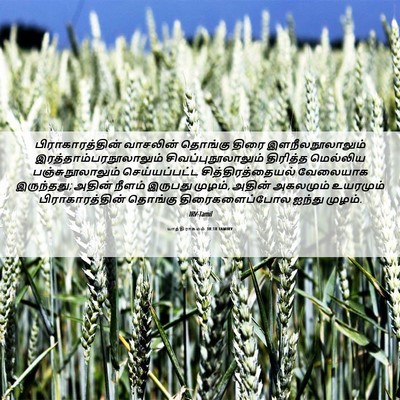 Picture 06 - யாத்திராகமம் 38:18 TAMIRV - பிராகாரத்தின் - Bible Verse Picture
