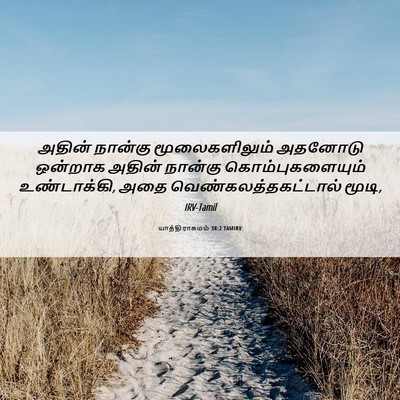 Picture 06 - யாத்திராகமம் 38:2 TAMIRV - அதின் நான்கு - Bible Verse Picture