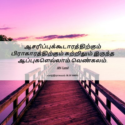 Picture 06 - யாத்திராகமம் 38:20 TAMIRV -  - Bible Verse Picture