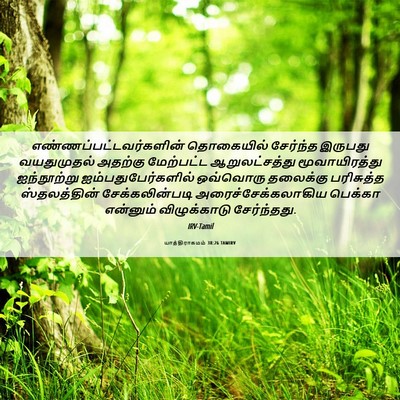 Picture 06 - யாத்திராகமம் 38:26 TAMIRV -  - Bible Verse Picture