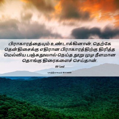 Picture 06 - யாத்திராகமம் 38:9 TAMIRV - பிராகாரத்தையும் - Bible Verse Picture