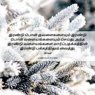 Picture 06 - யாத்திராகமம் 39:16 TAMIRV - இரண்டு பொன் - Bible Verse Picture