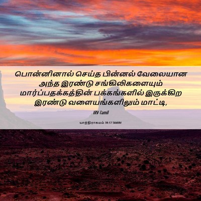 Picture 06 - யாத்திராகமம் 39:17 TAMIRV - பொன்னினால் செய்த - Bible Verse Picture