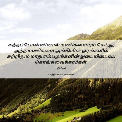 Picture 06 - யாத்திராகமம் 39:25 TAMIRV -  - Bible Verse Picture
