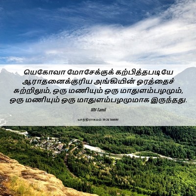 Picture 06 - யாத்திராகமம் 39:26 TAMIRV - யெகோவா மோசேக்குக் - Bible Verse Picture