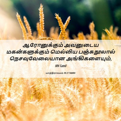 Picture 06 - யாத்திராகமம் 39:27 TAMIRV - ஆரோனுக்கும் - Bible Verse Picture